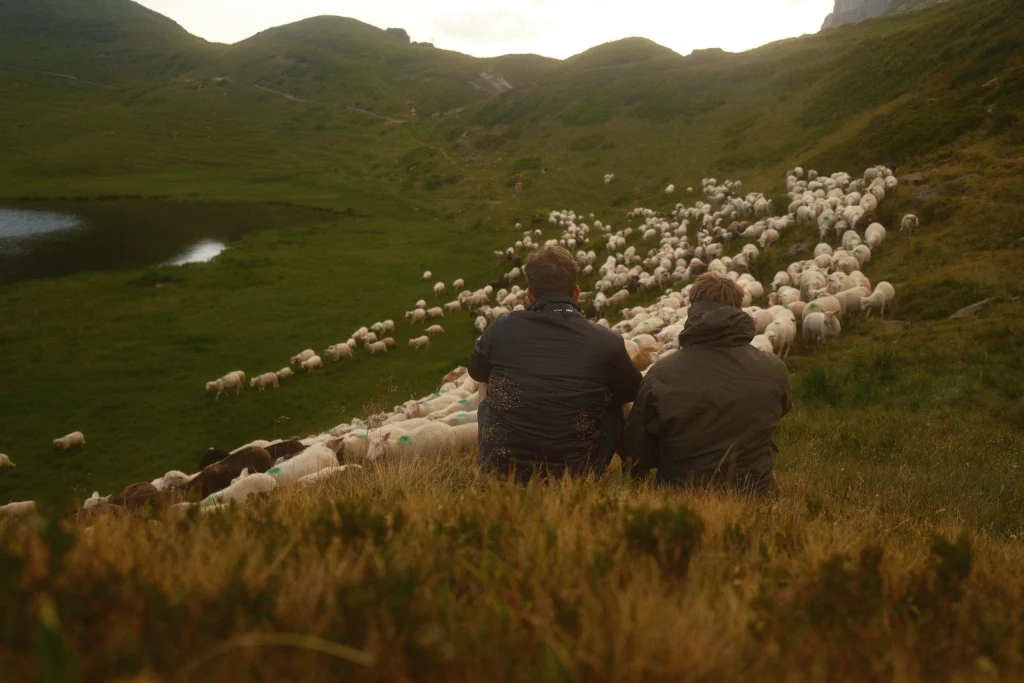 Franse alpen voor VRIJ WERK, Campaign & Editorial, foto 12 van 14