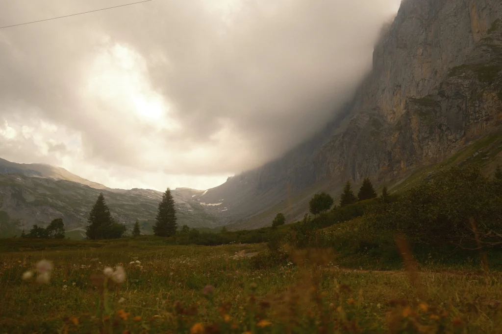 Franse alpen voor VRIJ WERK, Campaign & Editorial, foto 14 van 14