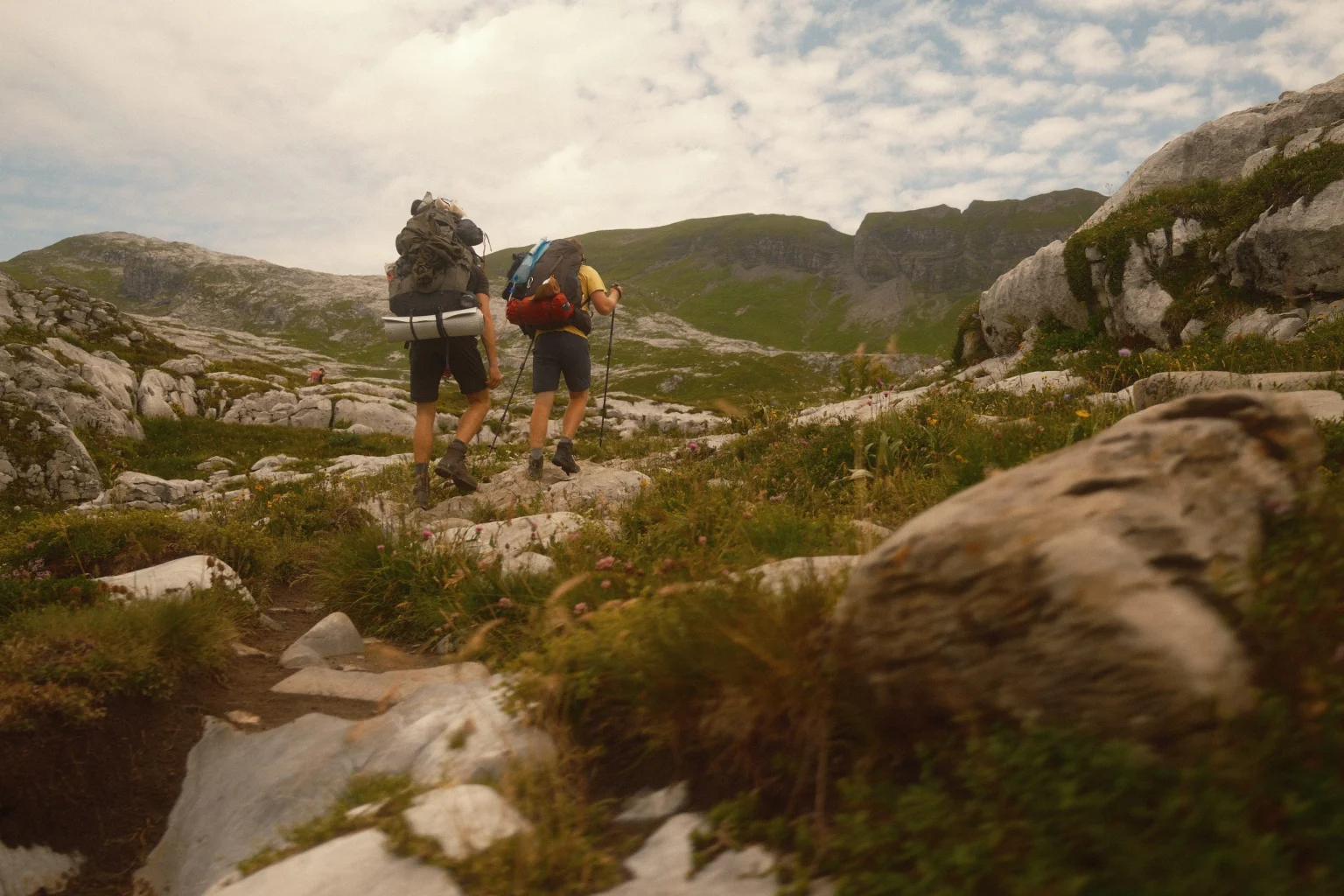 Franse alpen — VRIJ WERK