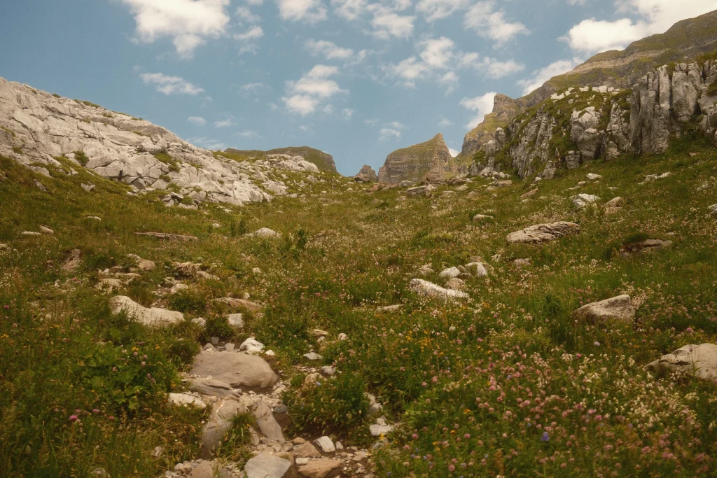 Franse alpen voor VRIJ WERK, Campaign & Editorial, foto 7 van 14