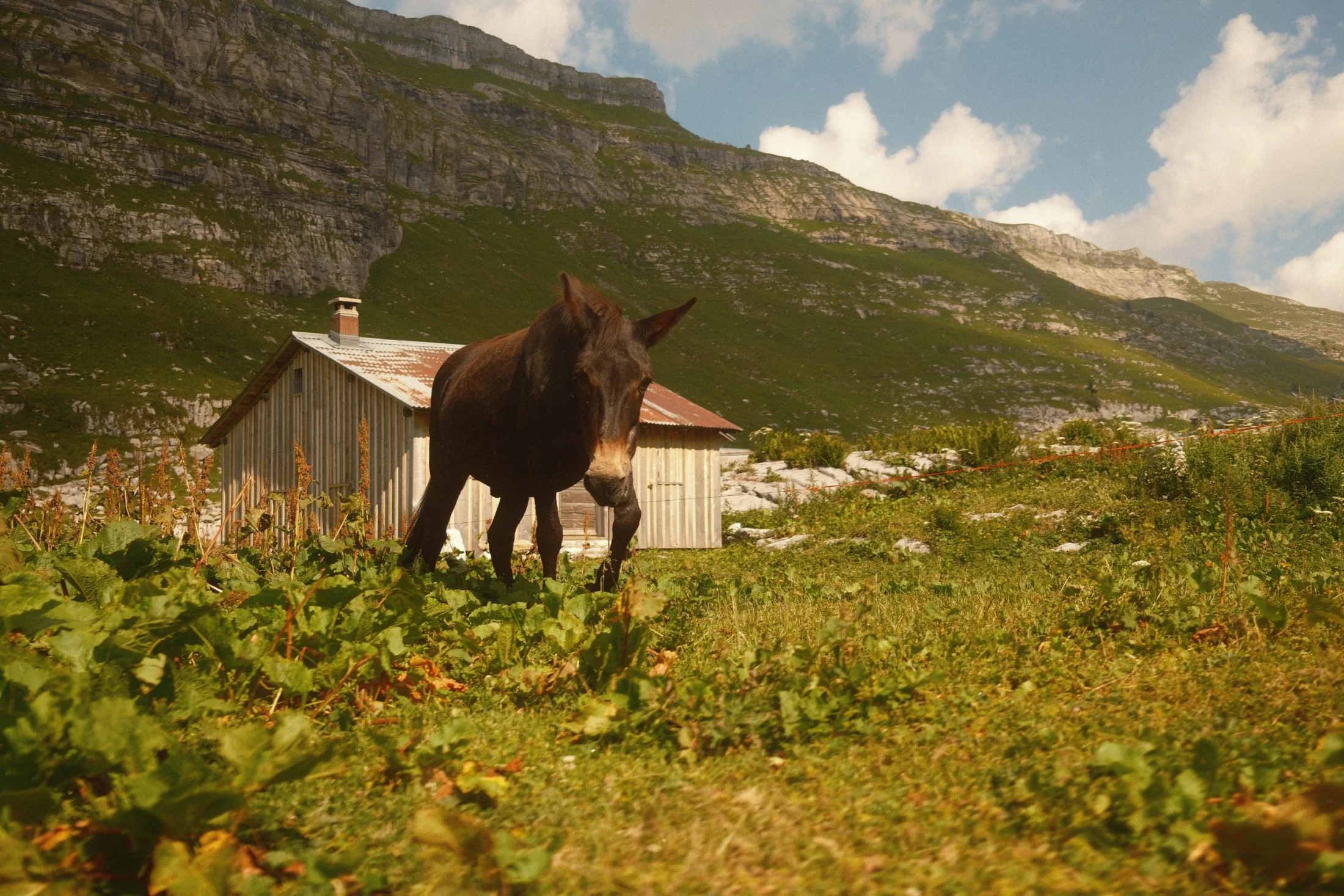 Franse alpen voor VRIJ WERK, Campaign & Editorial, foto 4 van 14